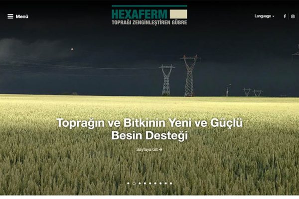 Hexaferm