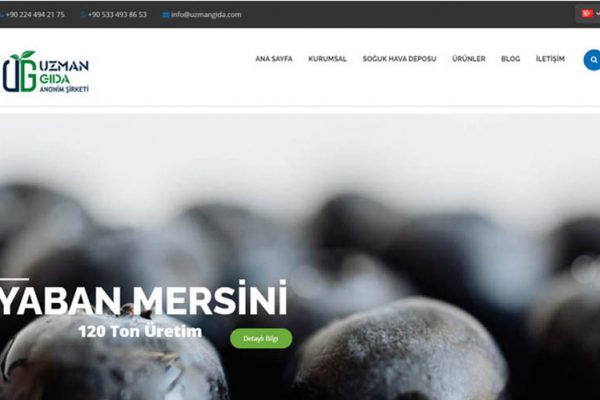 Uzman Gıda
